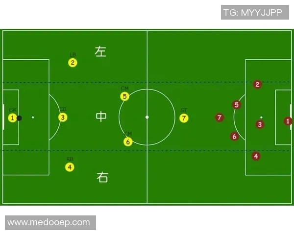 杭州排球队的防守反击战术解析与深度剖析